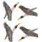 Wooden Pigeon Showpiece (17 cm x 16 cm x 4 cm, Grey & White, Pack of 2)